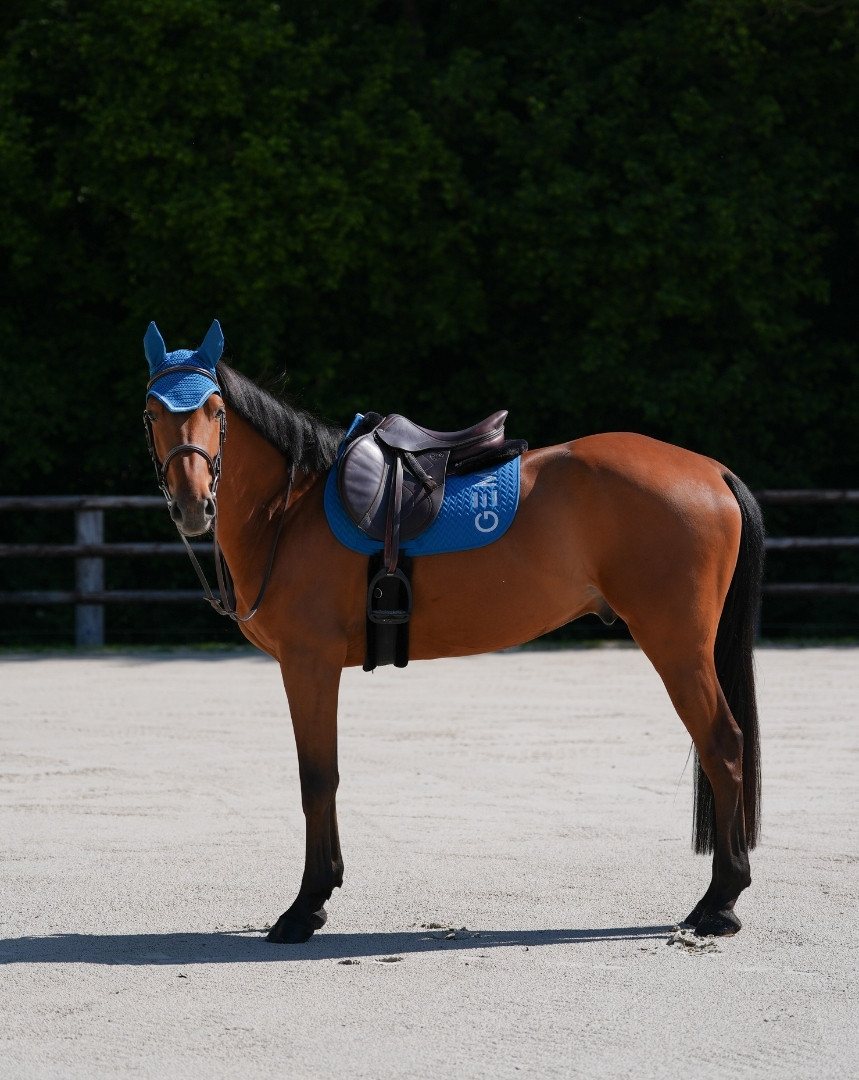 Tapis Ten Obstacle