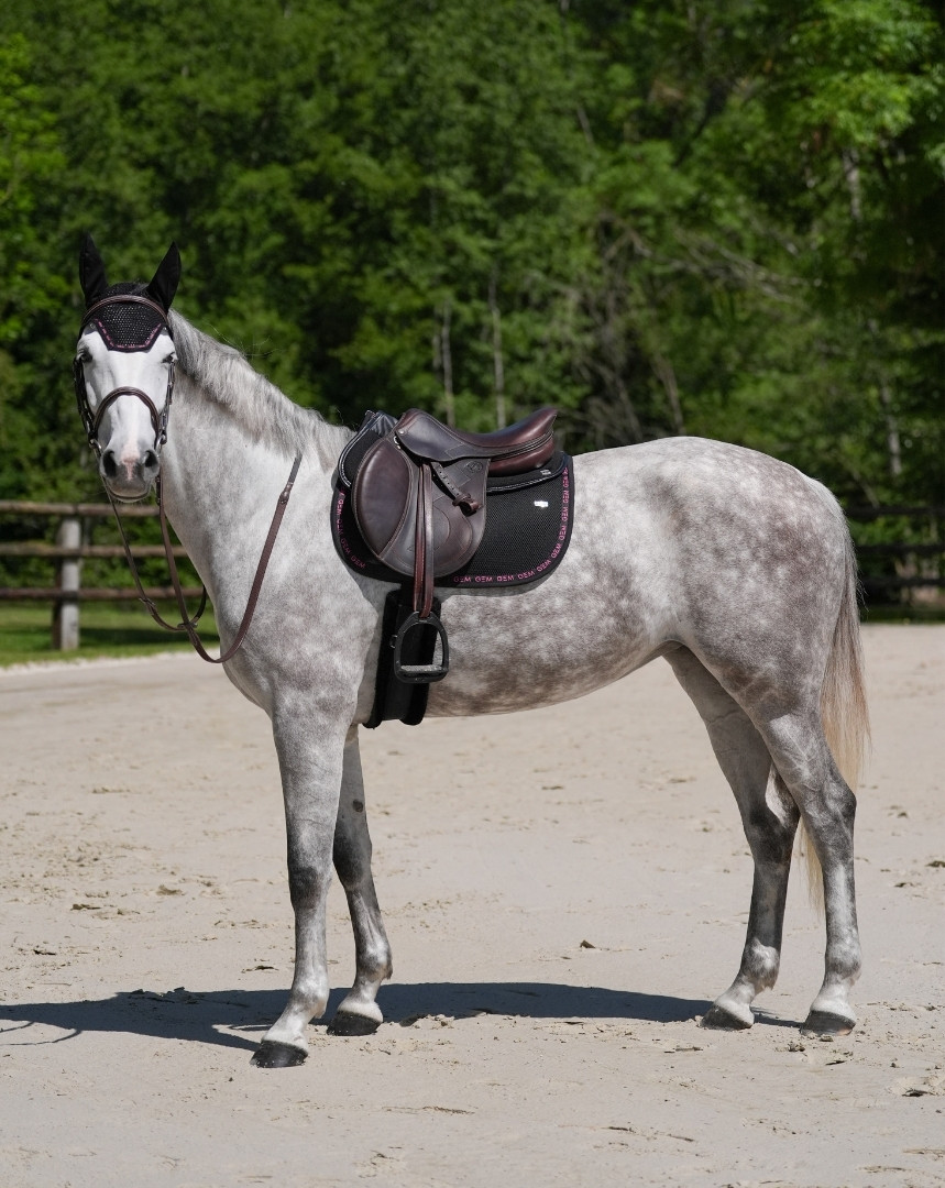 Mesh Saddle Pad