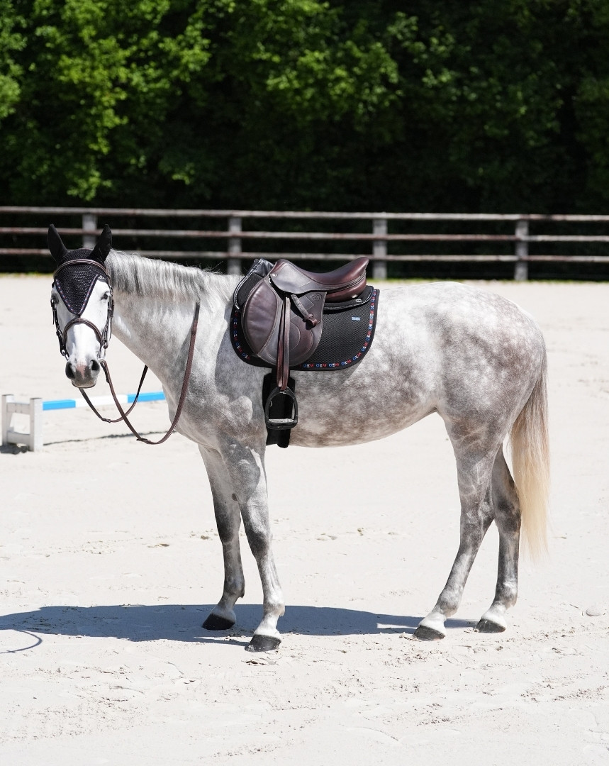 Mesh Saddle Pad