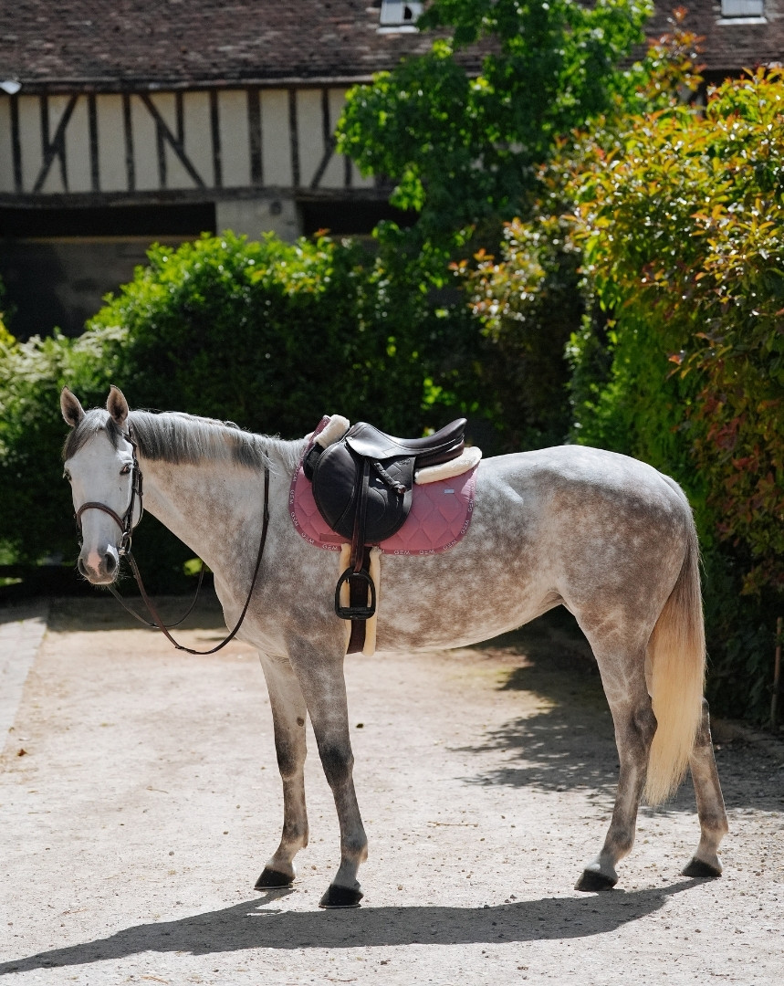 Tapis de selle Love GEM