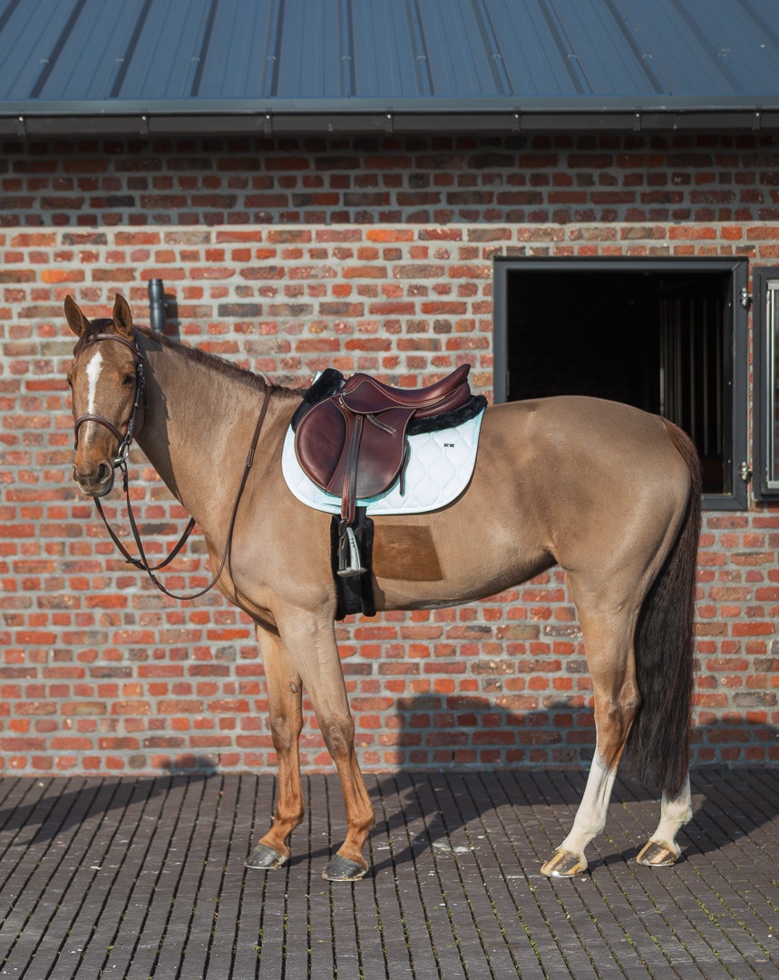 Tapis de selle Love GEM Menthe