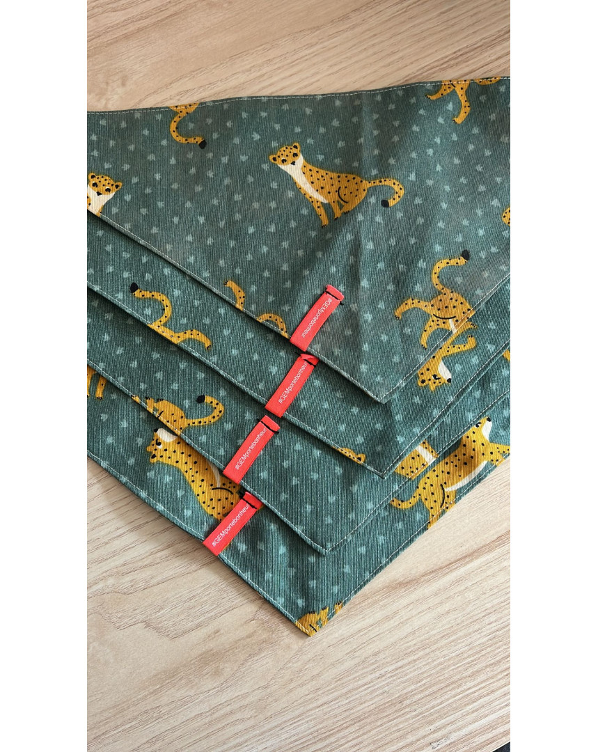 Bandana chien