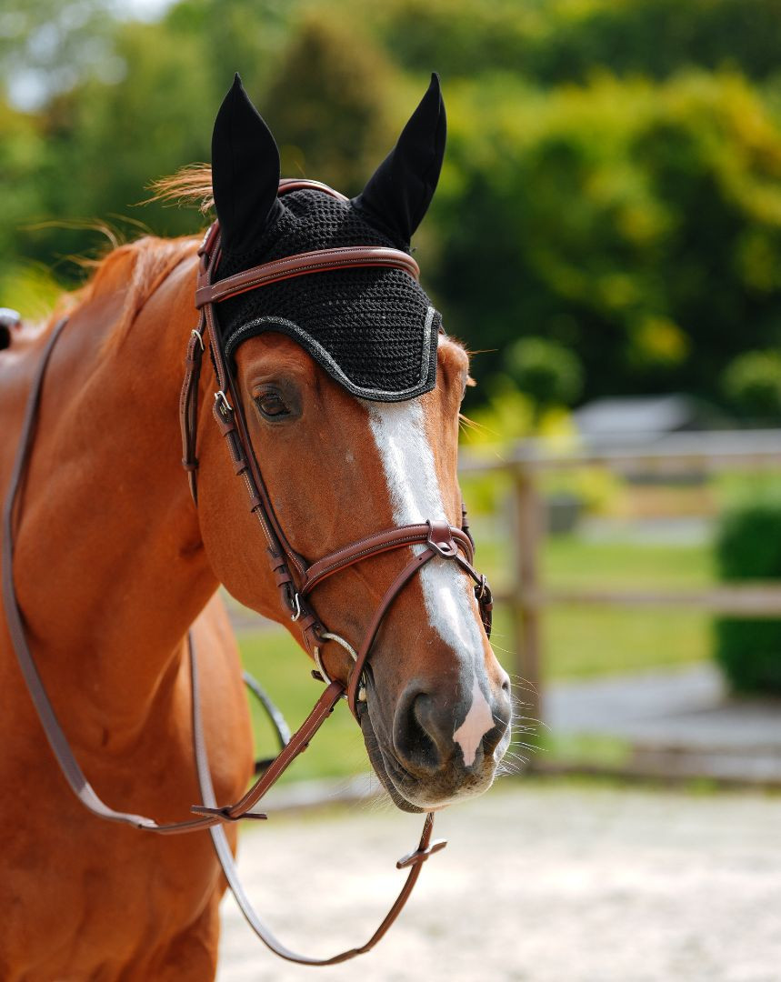 Bonnet court Lucky