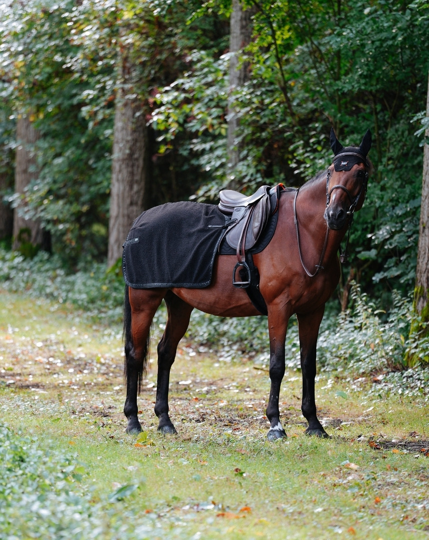 Couvre-reins Tao
