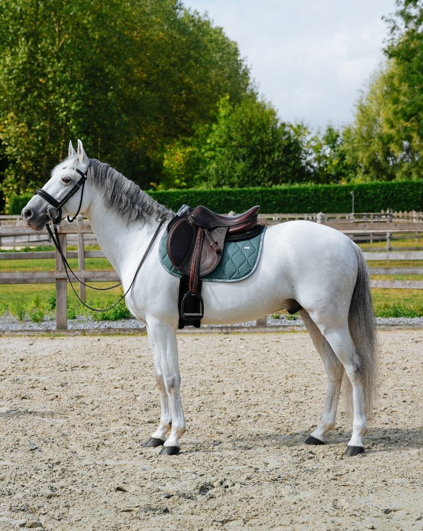 Tapis Love GEM Obstacle