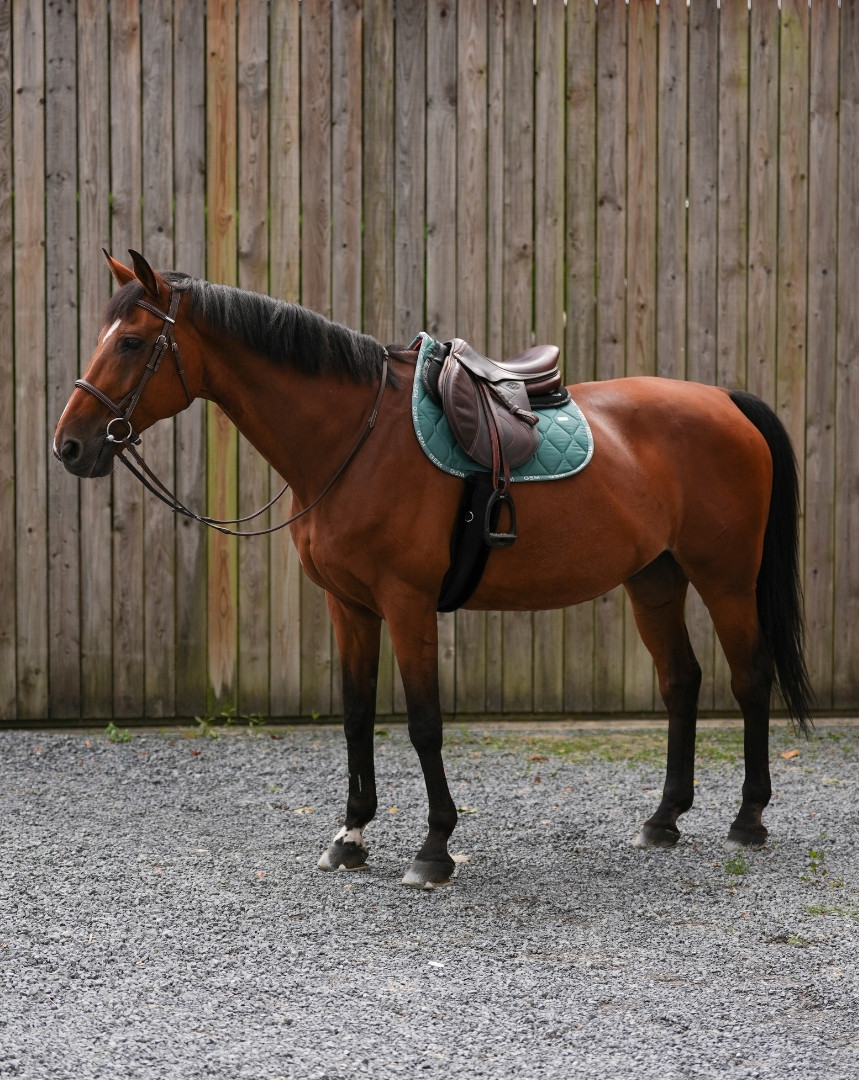 Tapis Love GEM Obstacle