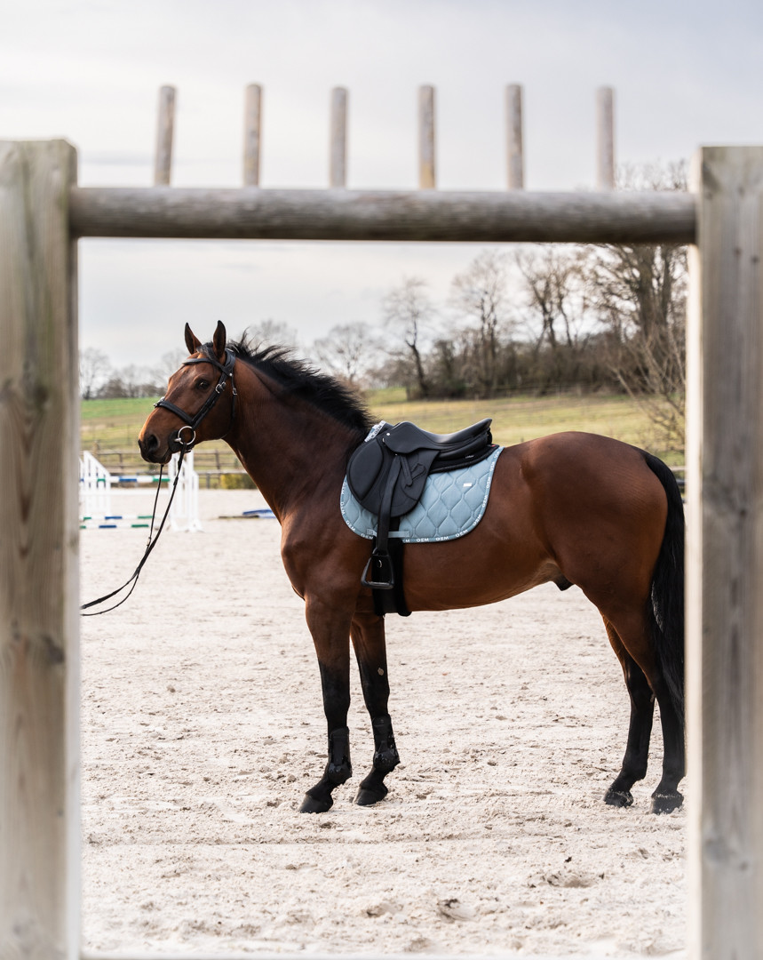 Love GEM Saddle Pad