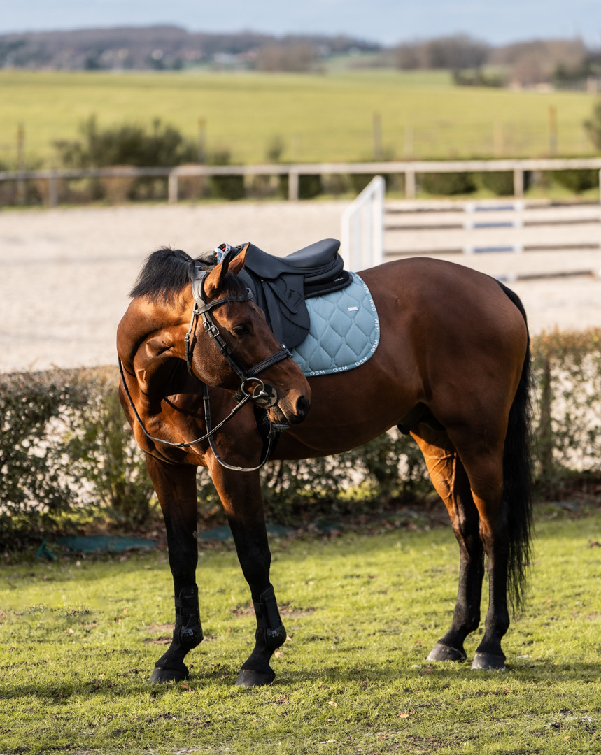 Love GEM Saddle Pad