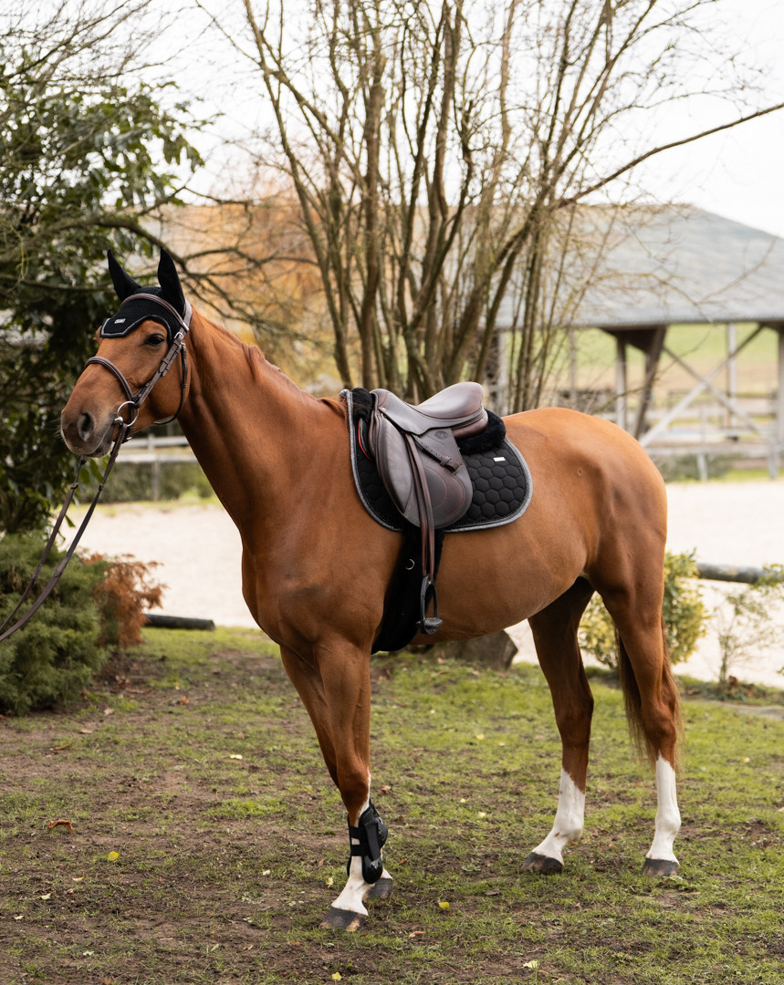 Tapis Atlas Obstacle