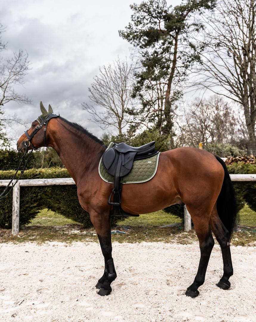 Tapis Atlas Obstacle