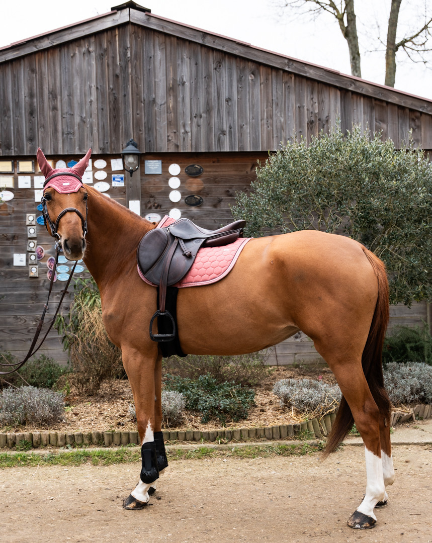 Tapis Atlas Obstacle