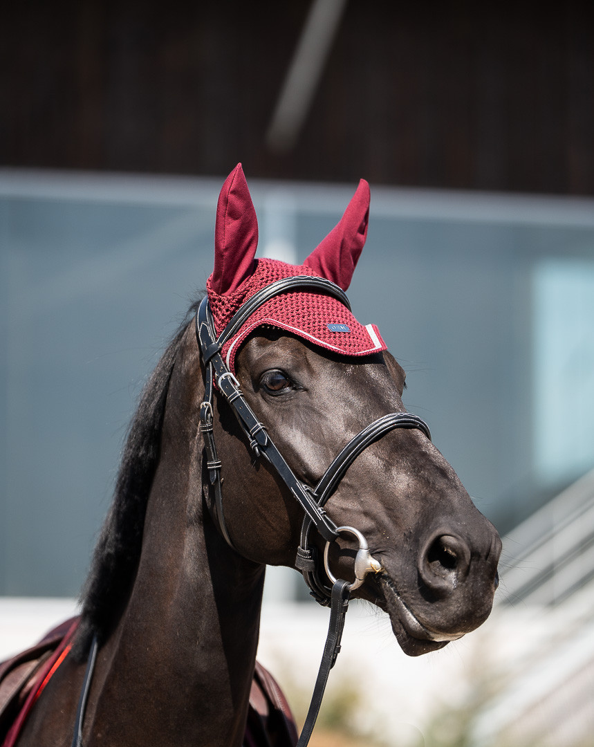 Bonnet court Ten