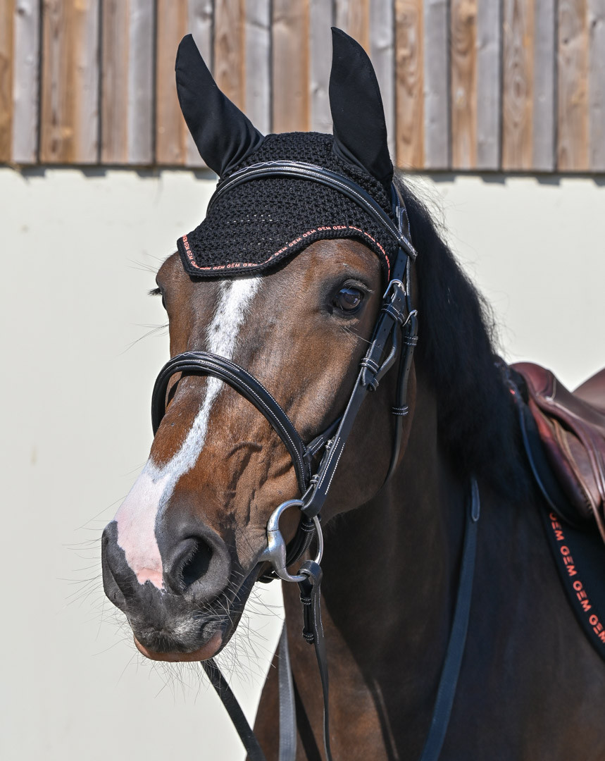 Bonnet Noël Pour Cheval - Accessoire Festif Rouge Velours | 35x43cm, Déguisement Équitation Fêtes