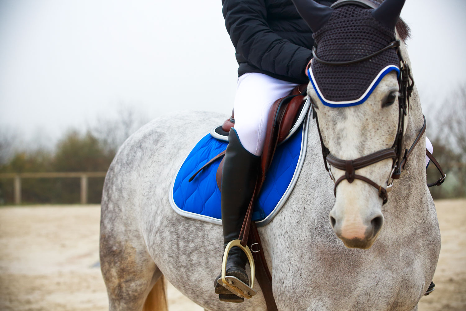 Comment bien choisir son pantalon d'équitation ? - Royal Horse